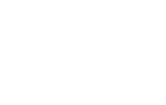 Recommended Styling